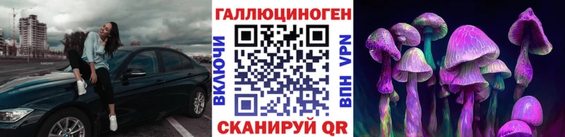 Псилоцибиновые грибы GOLDEN TEACHER  закладки  Новочебоксарск 
